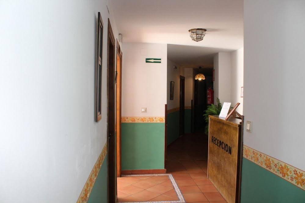 Фото Hostal y Apartamento Rural Los Naranjos