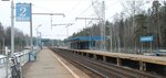 Циолковская (Moscow Region, Shchyolkovo Urban District), train station