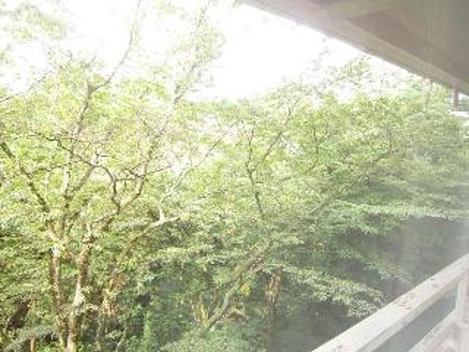 Фото Hakone Kowakien Ten-yu