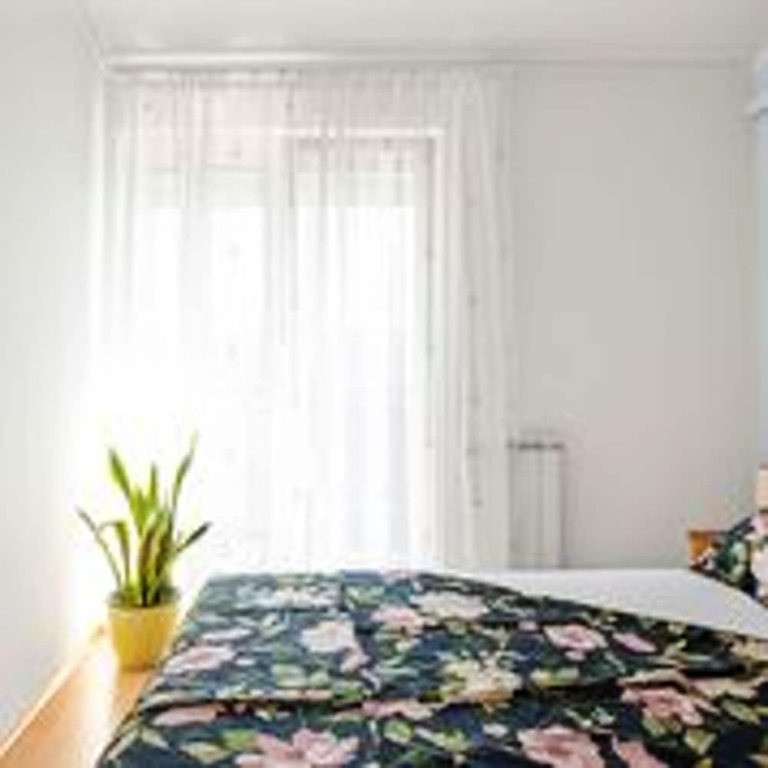 Фото Apartmani Dragović Brodarica