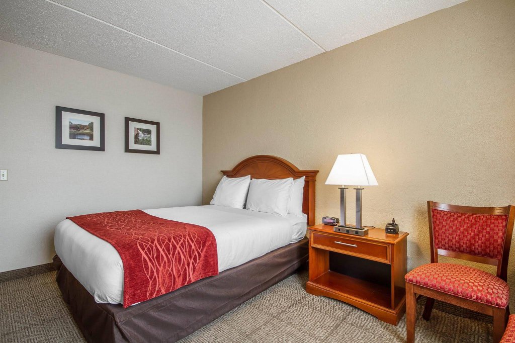 Фото Comfort Inn Madison - Downtown