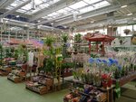 Садовый центр (проспект Победы, 245), centro de jardinería