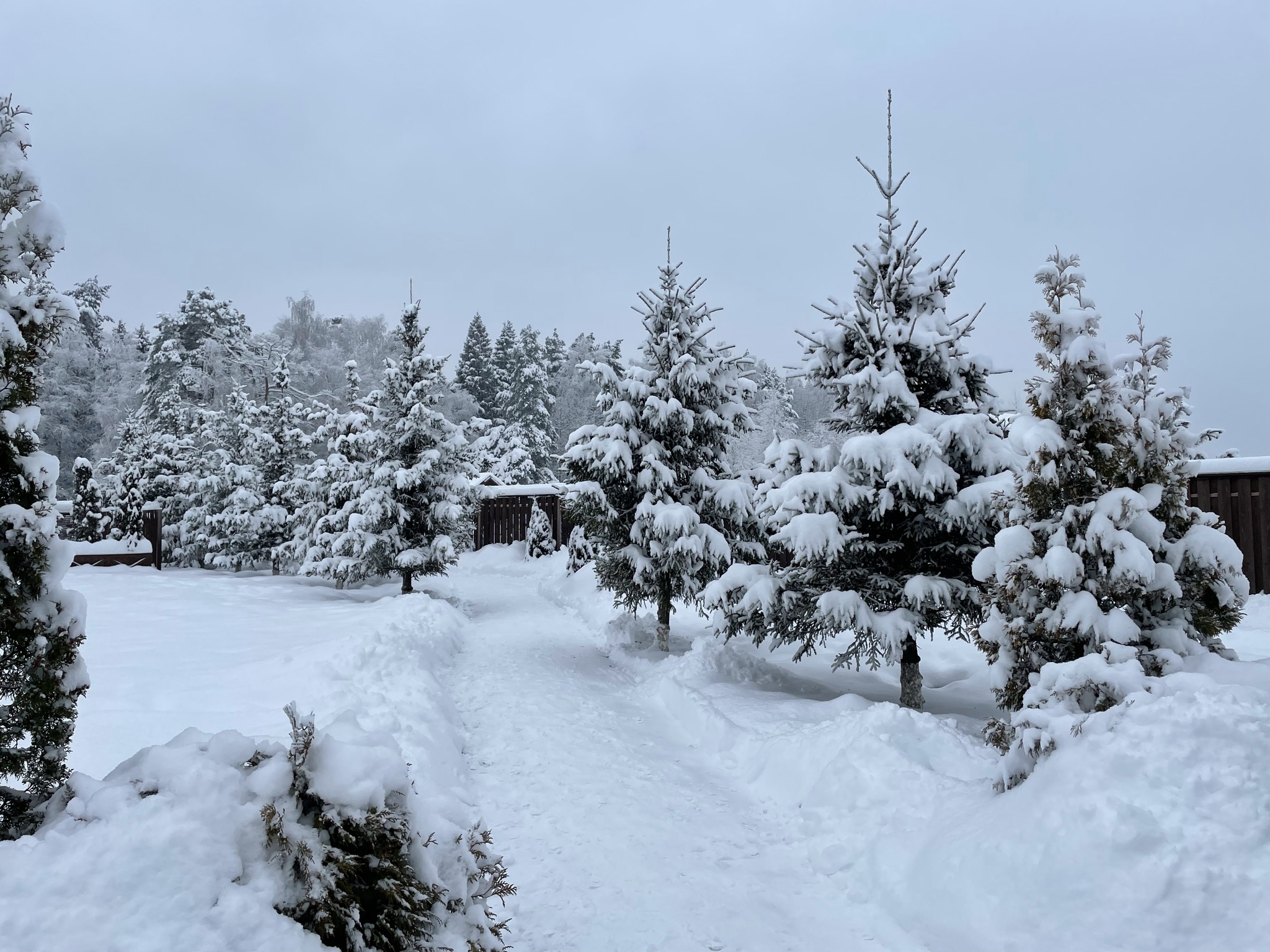 Фото Арт Вилладж