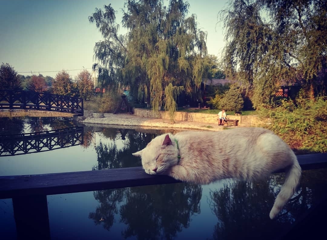 Фото Загородный комплекс Хутор Покровский