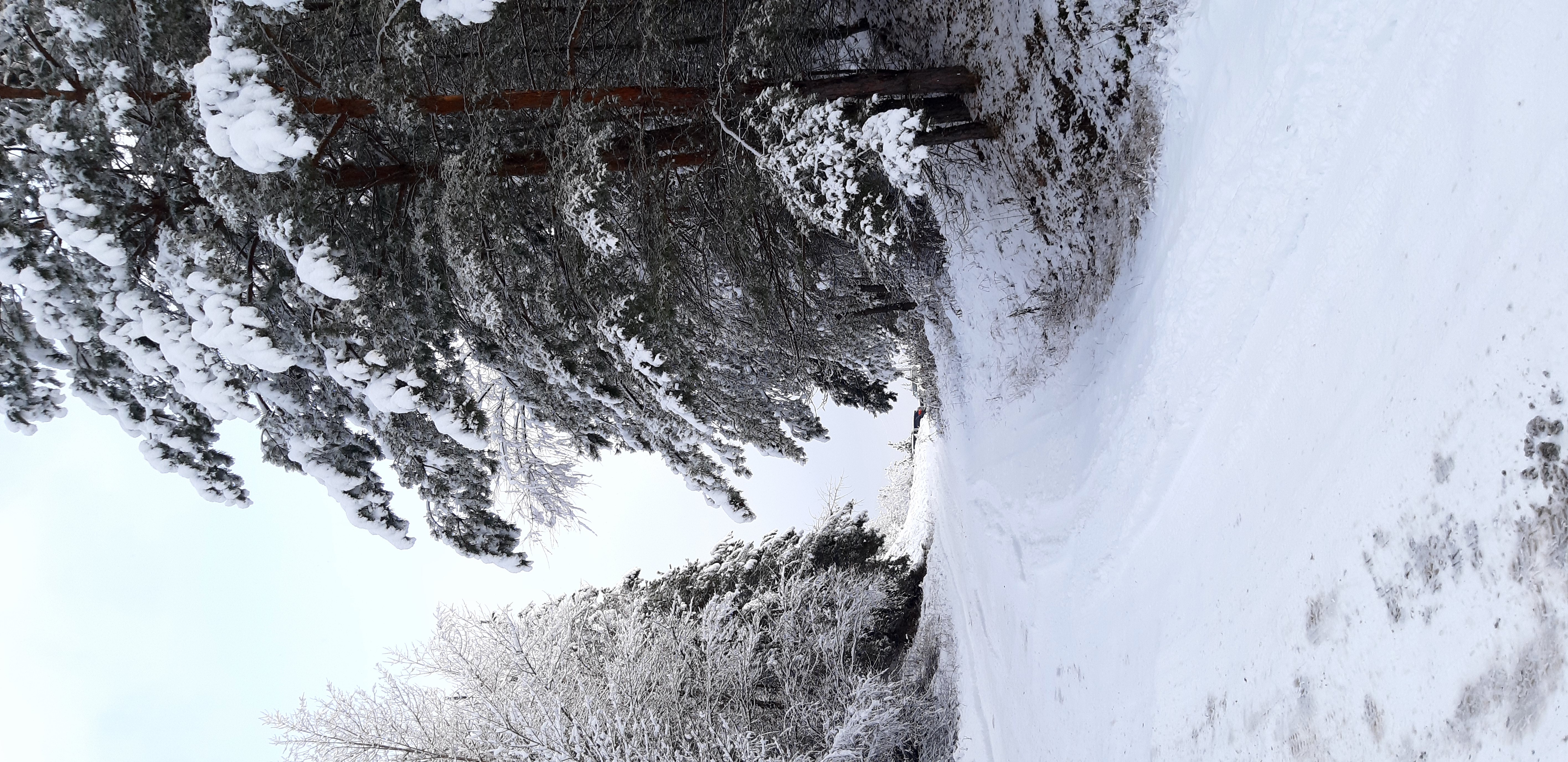 Фото Усадьба