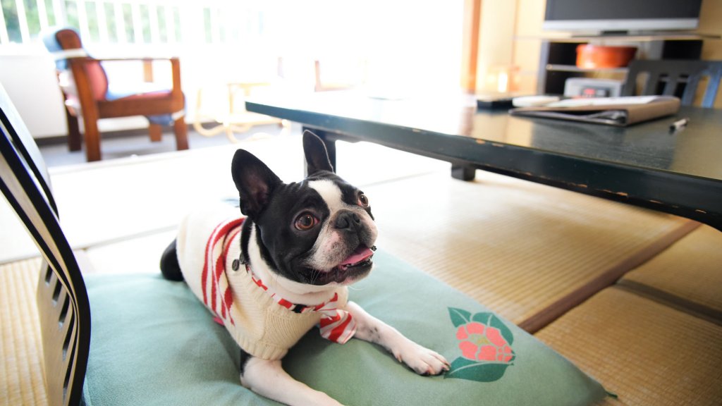 Фото Kinosato Yamanoyu