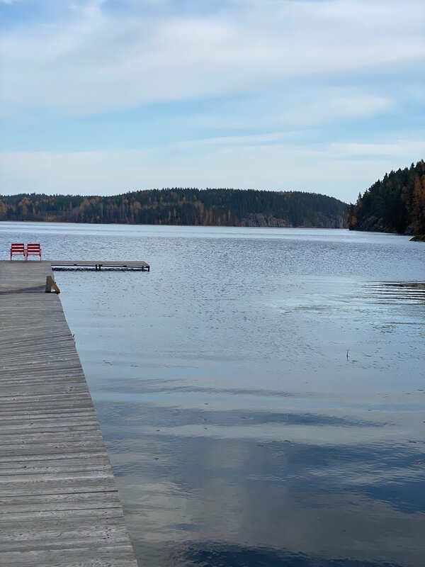 Forrest Lodge Karelia — фото 48