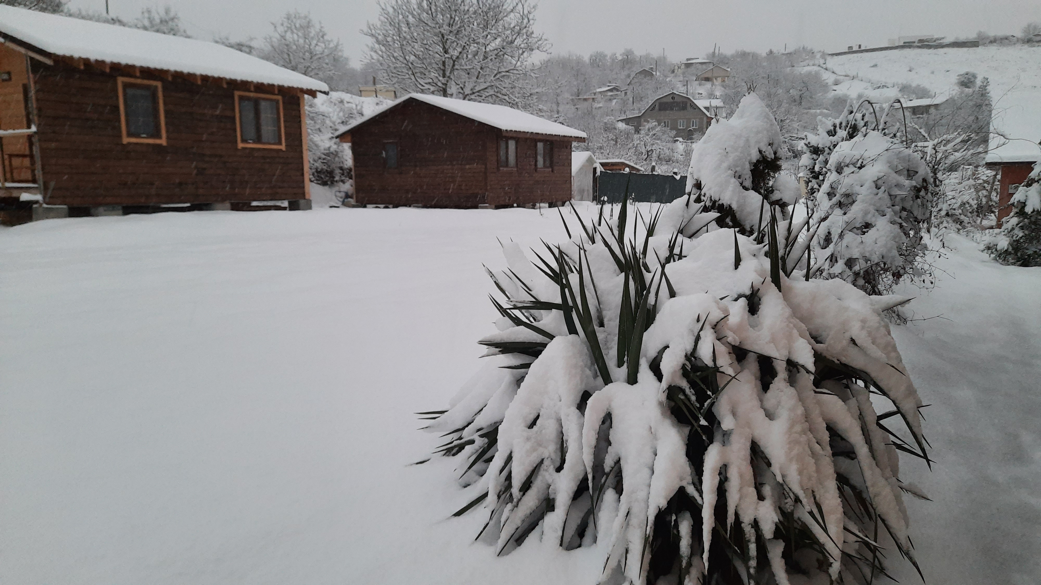 Фото Крым коттедж