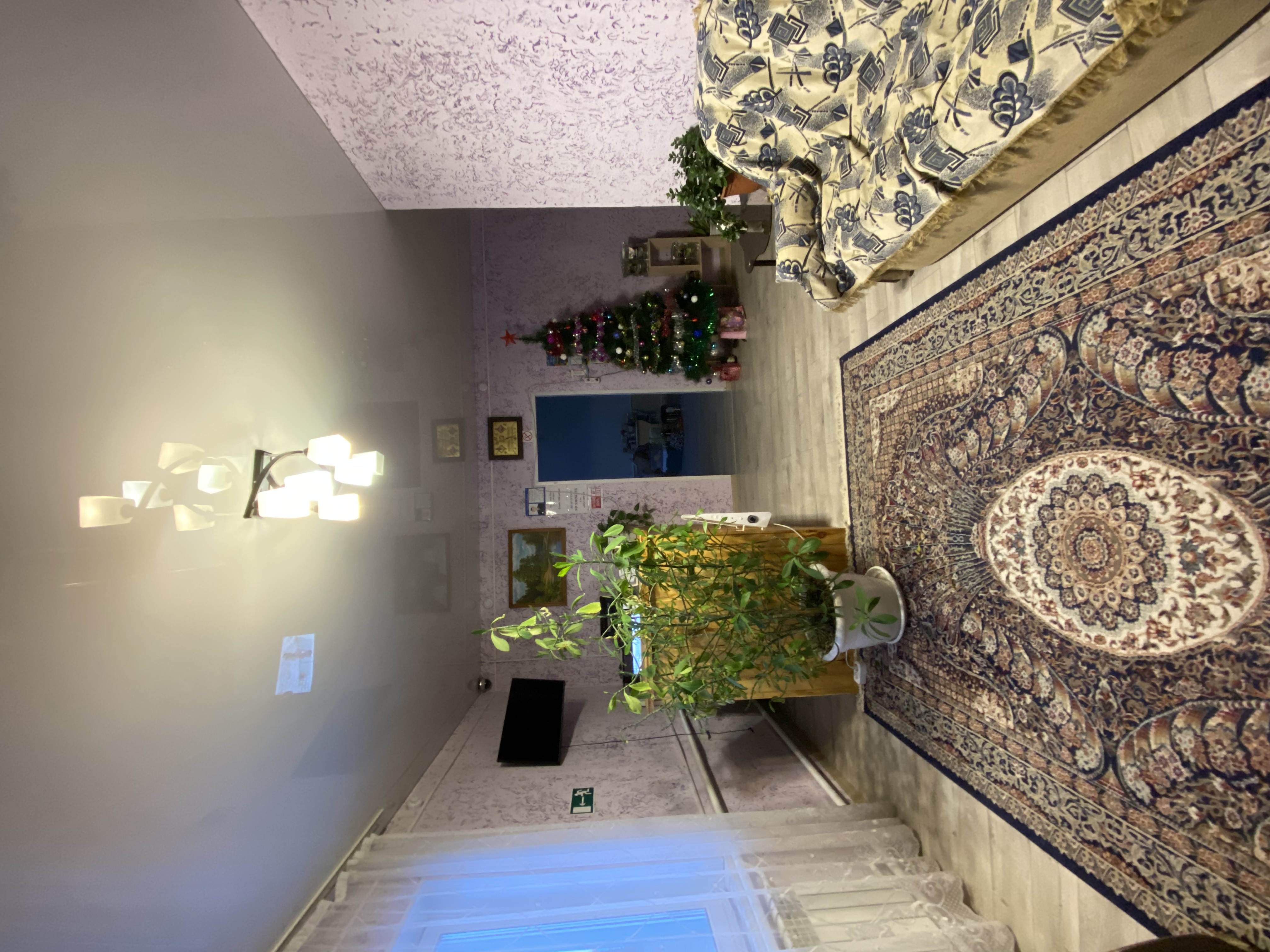 Фото Роза ветров