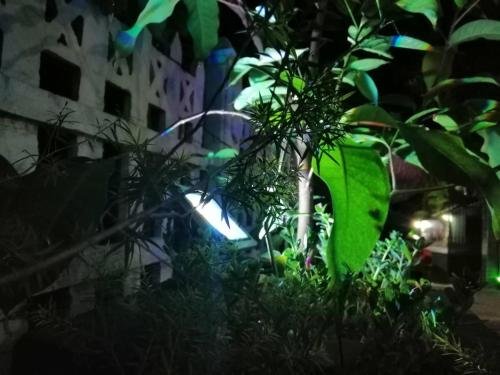 Фото New Blue Home