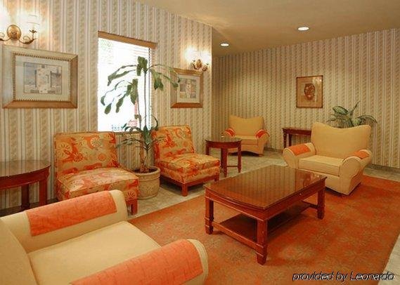 Фото Comfort Suites San Jose Airport