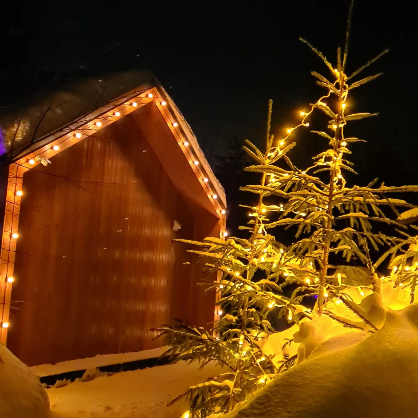 Фото ДомДомВалдай