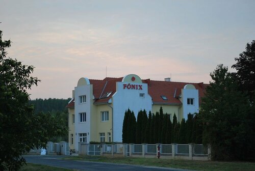 Гостиница Főnix Hotel Bükfürdő в Ваше