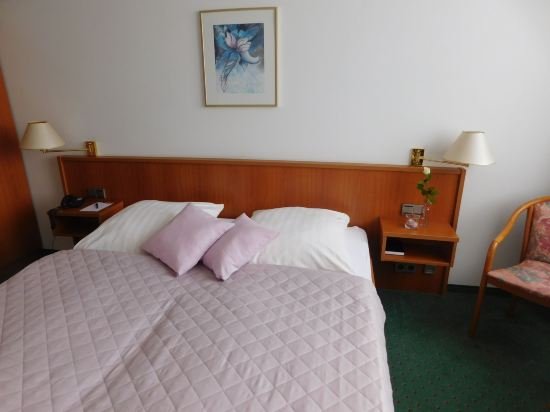 Фото Hotel Am Park