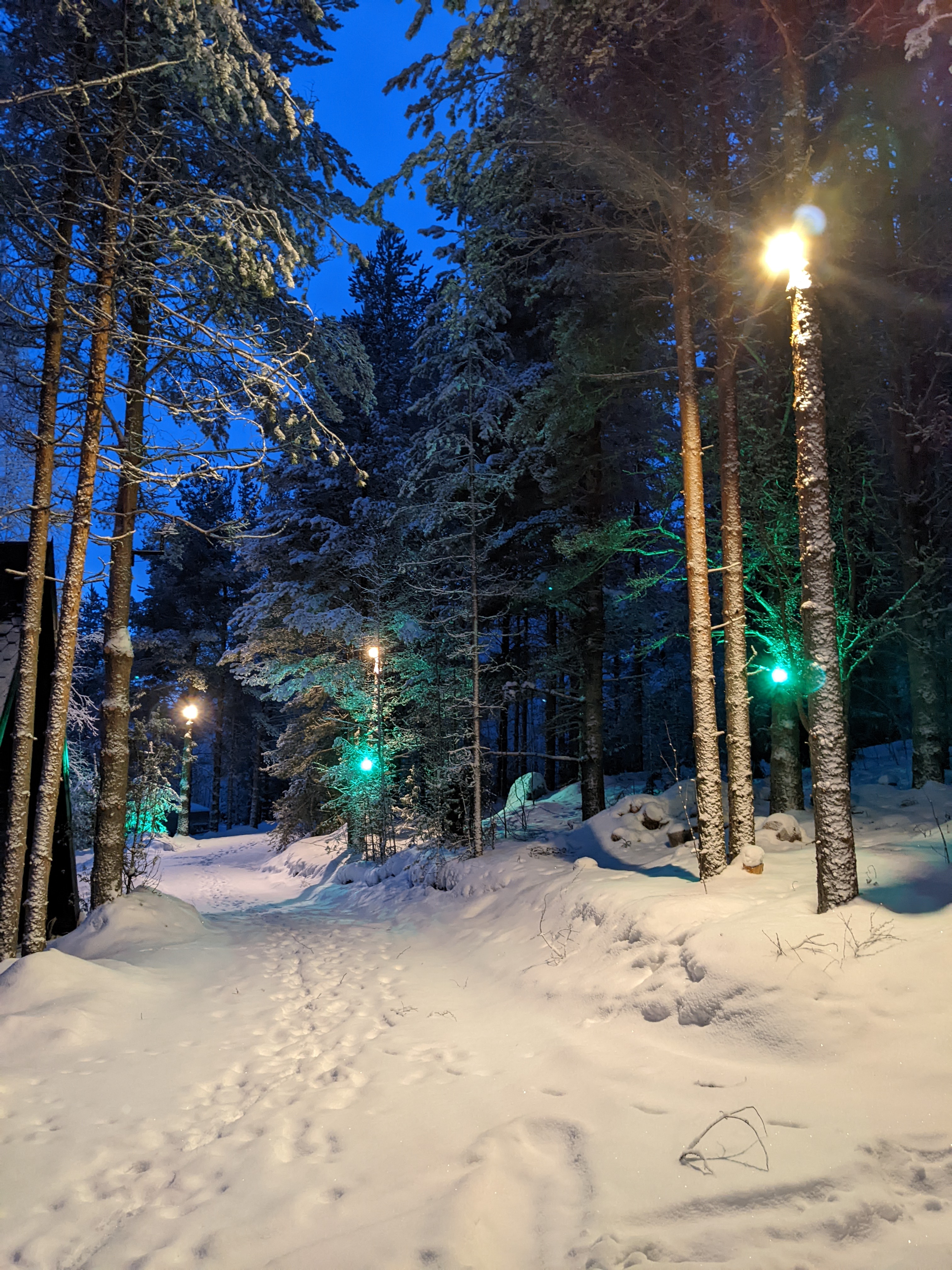 Фото Aldi Karelia