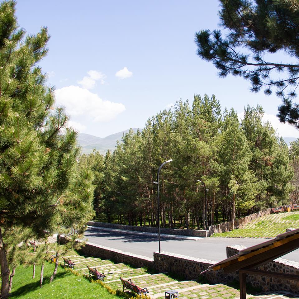 Фото Арарат Резорт