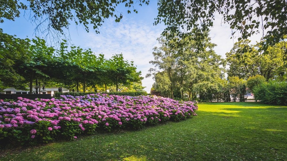 Фото B_smart hotel Widnau