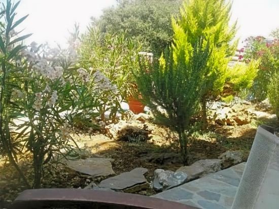 Фото Marina Hotel