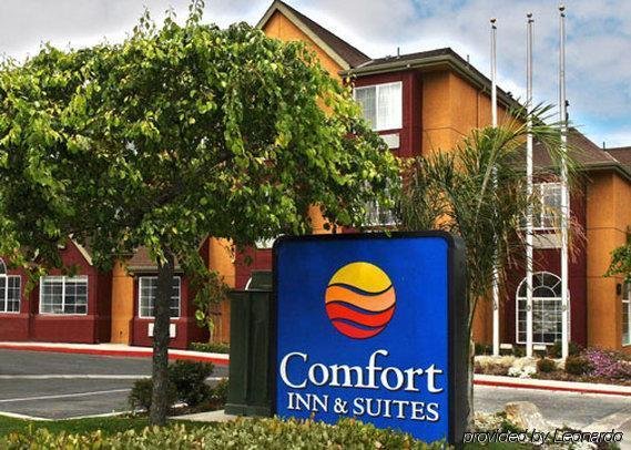 Фото Comfort Inn & Suites of Salinas