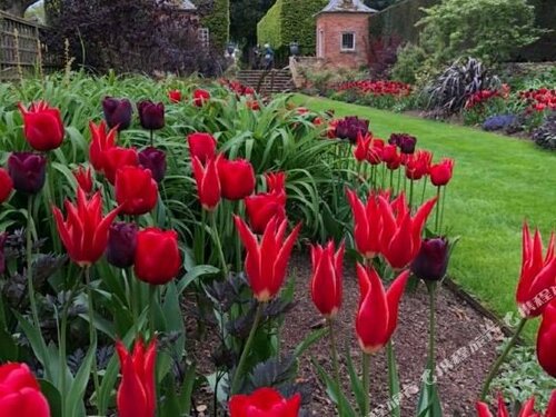 Гостиница Woolmarket House в Графстве Глостершир