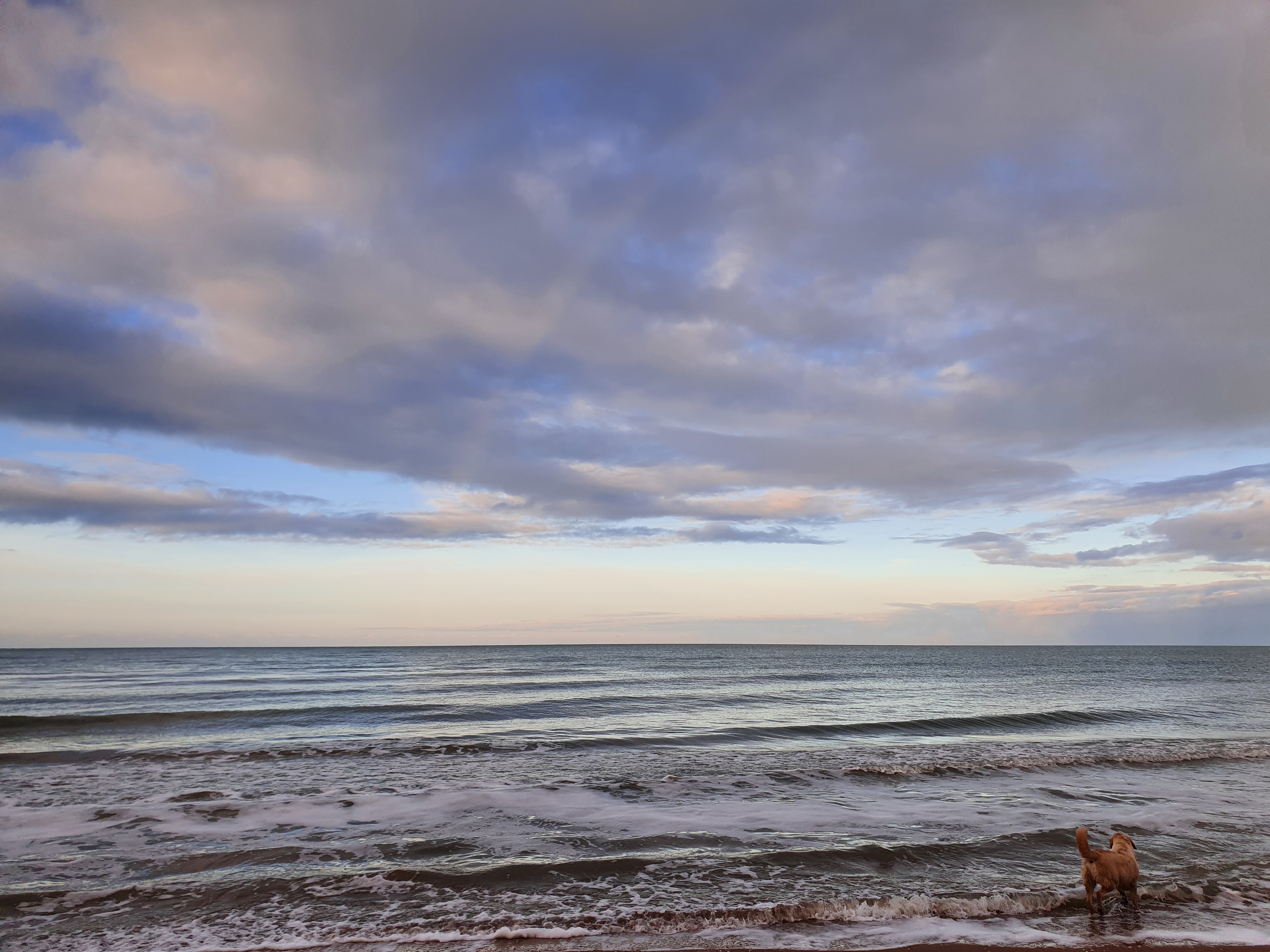 Фото Гостевой дом на Центральной 45
