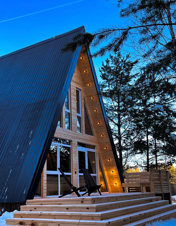 Фото Forest tale