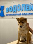 Vodoley (Generala Glagoleva Street, 9к2), veterinary clinic