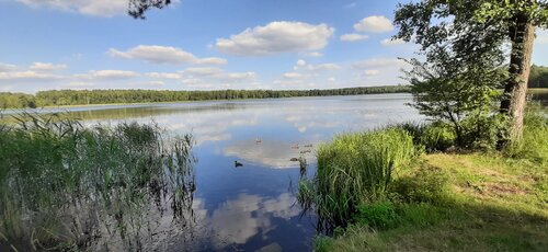 Дом Отдыха Белое Озеро Туристско-Оздоровительный комплекс ЧУП Бресттурист в Белом Озере