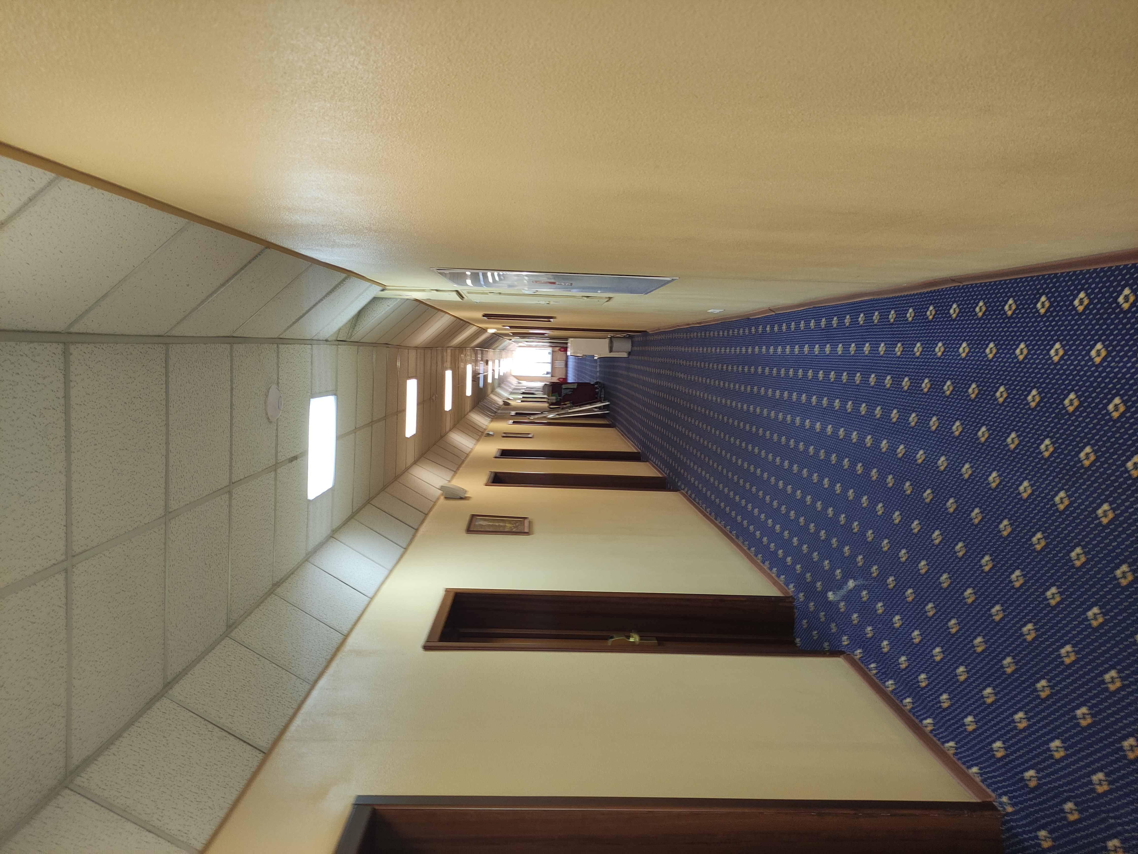 Фото Золотой Колос