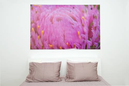 Фото Galeria River by Burja Hotels