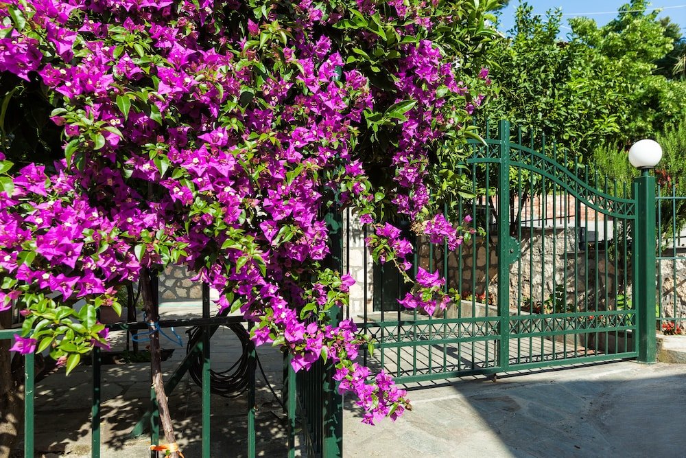 Фото Xenios Loutra Village Beach Hotel