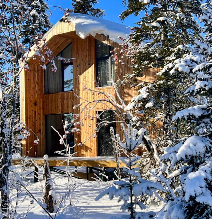 Фото Svekla project