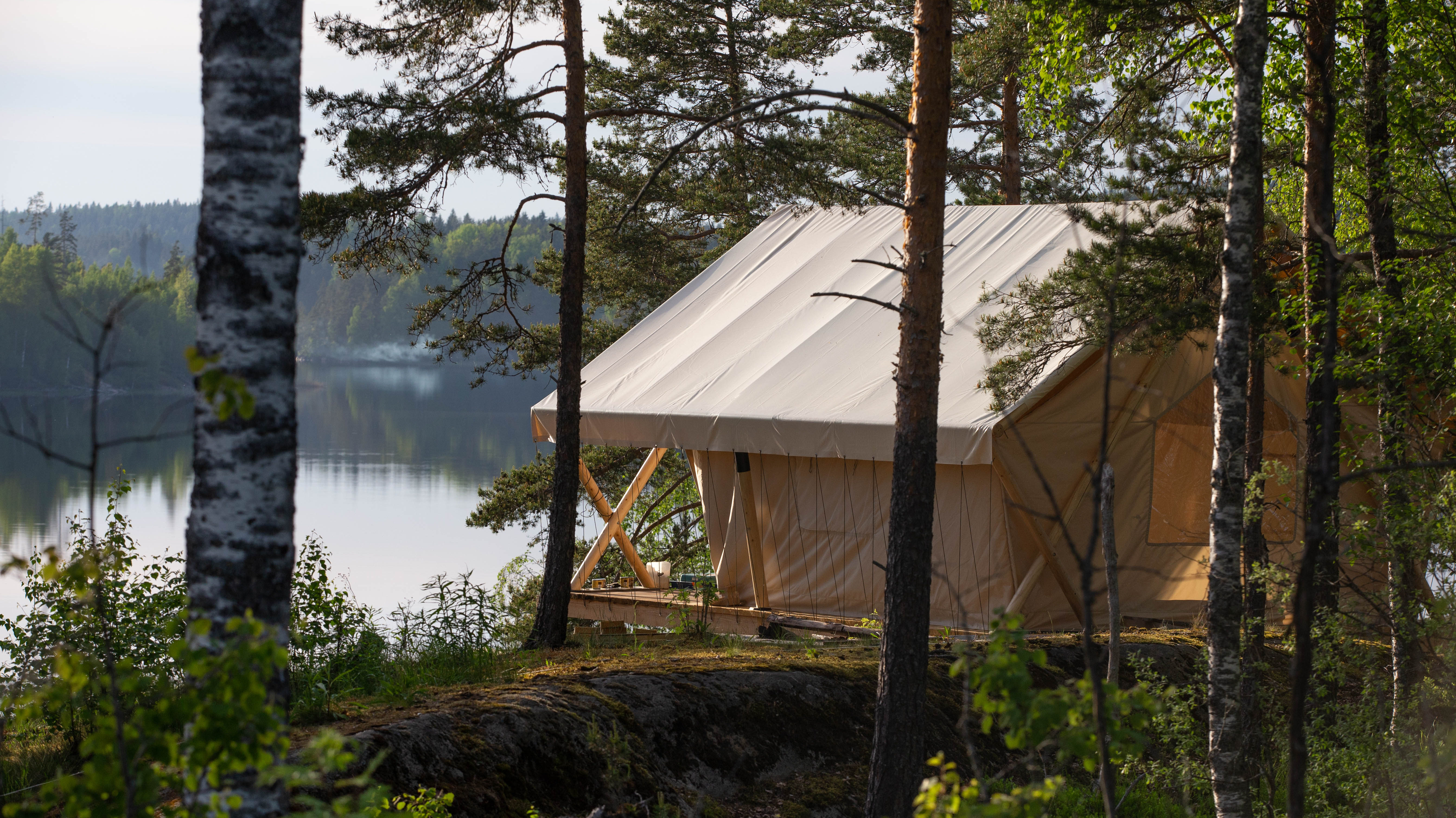 Фото Смородина