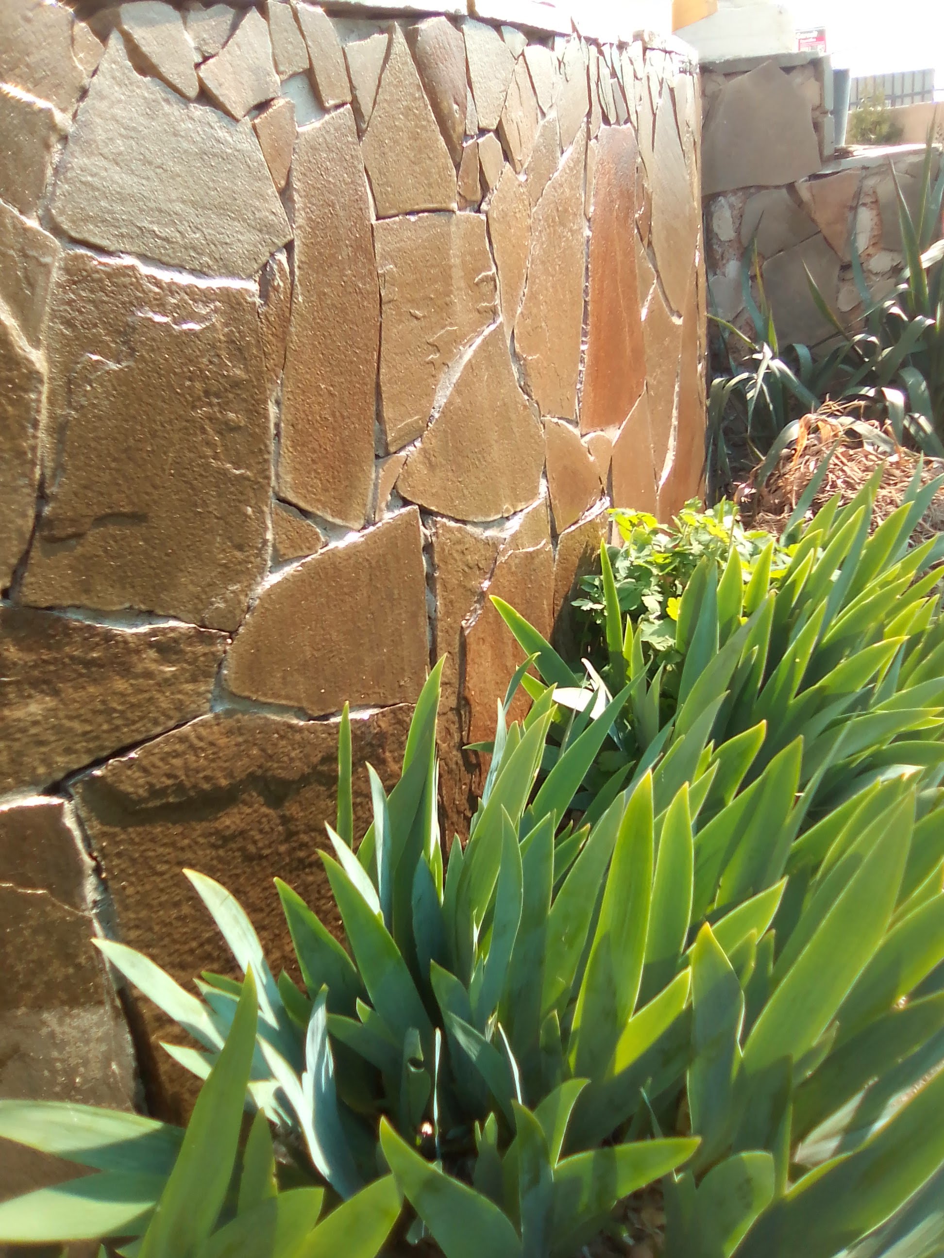 Фото Империал