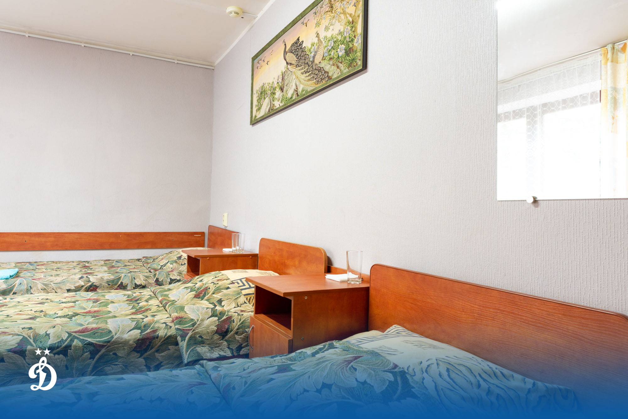 Фото Динамо