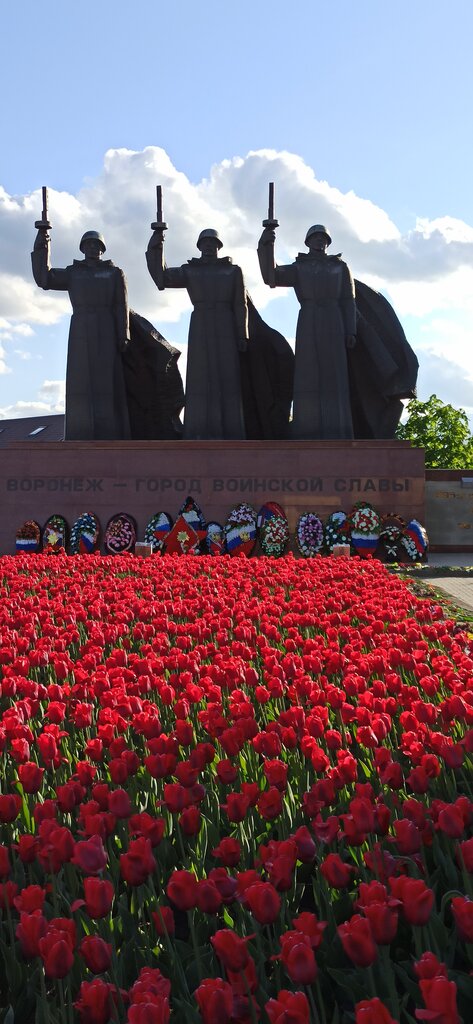 كنيسة أرثوذكسية St. Dmitry Donskoy Church on Chizhovsky Bridgehead ، فورونيج، صورة