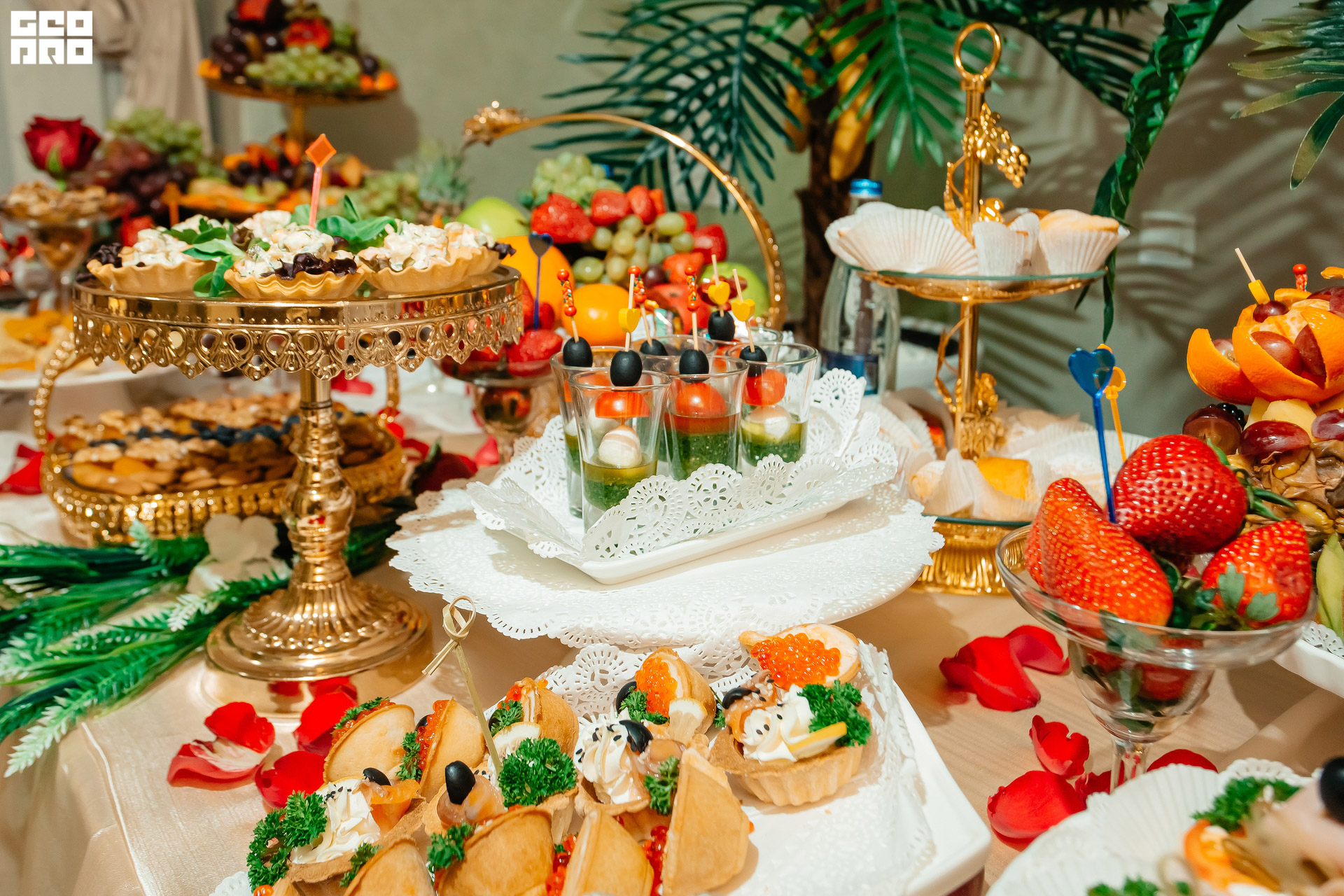 Фото Араз Палас