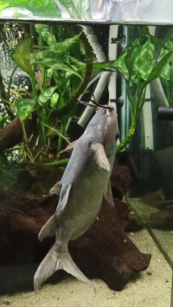 Zoo Lodz Zoo, Lodz, photo