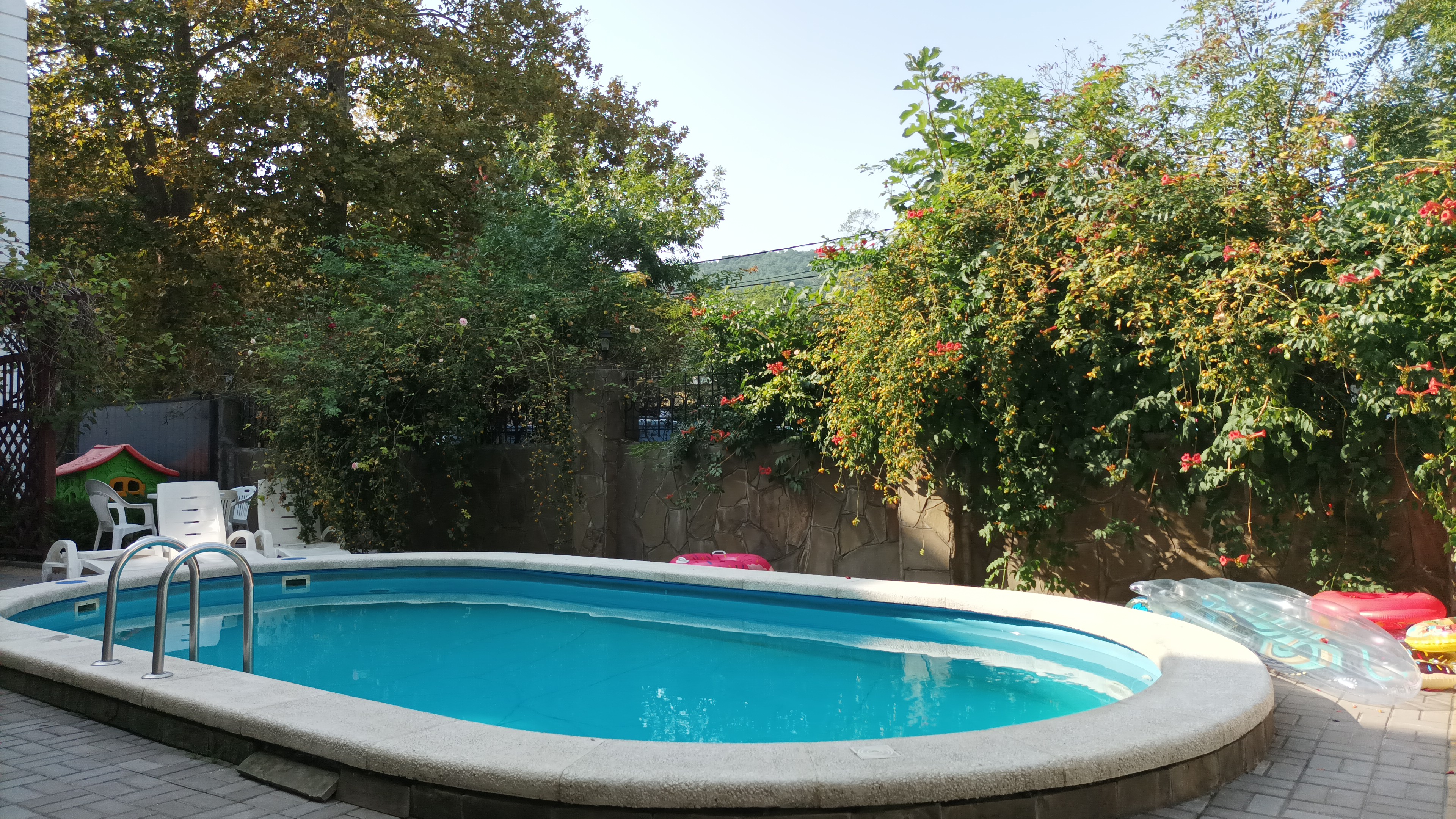 Фото Золотой Каштан