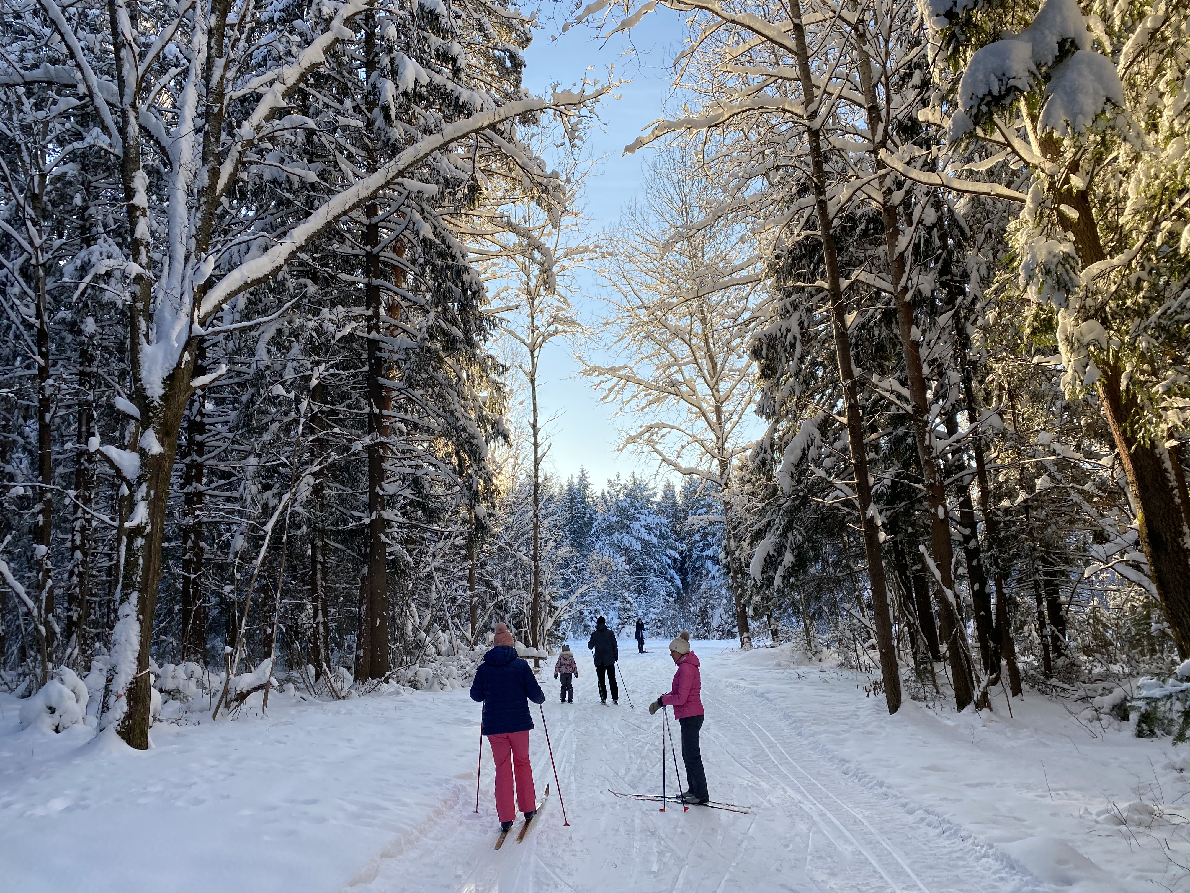 Фото У Лыжника