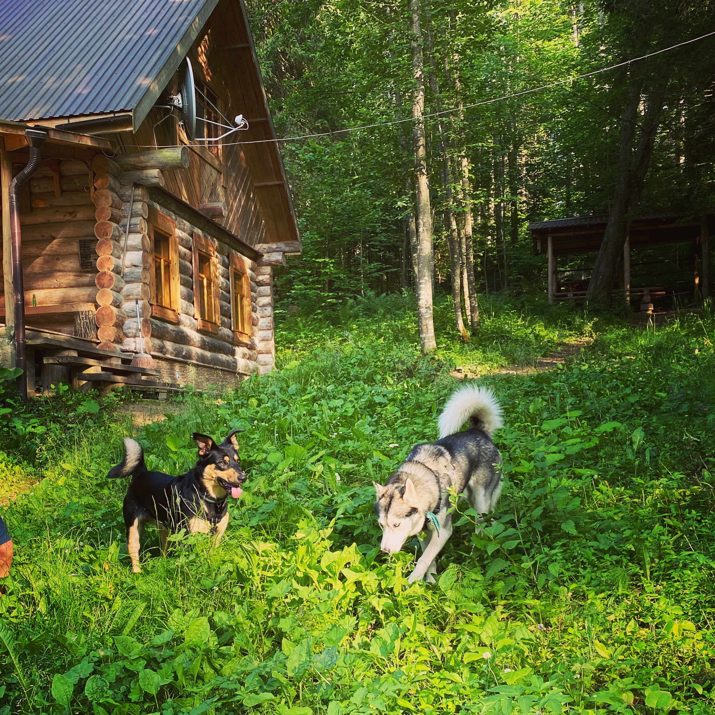 Фото У Лыжника