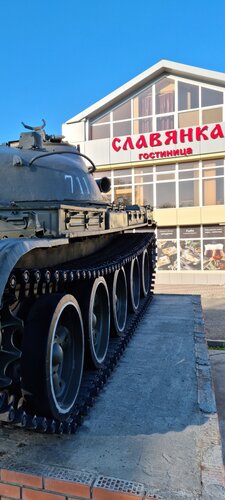 Славянка — фото 2