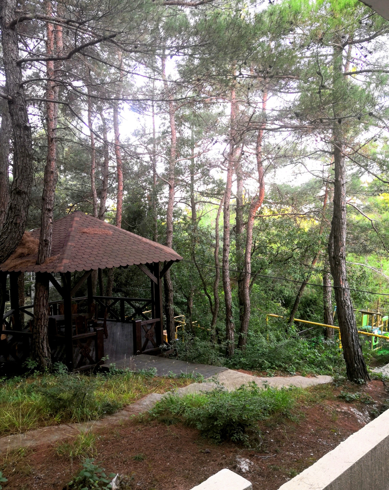 Фото Каметон