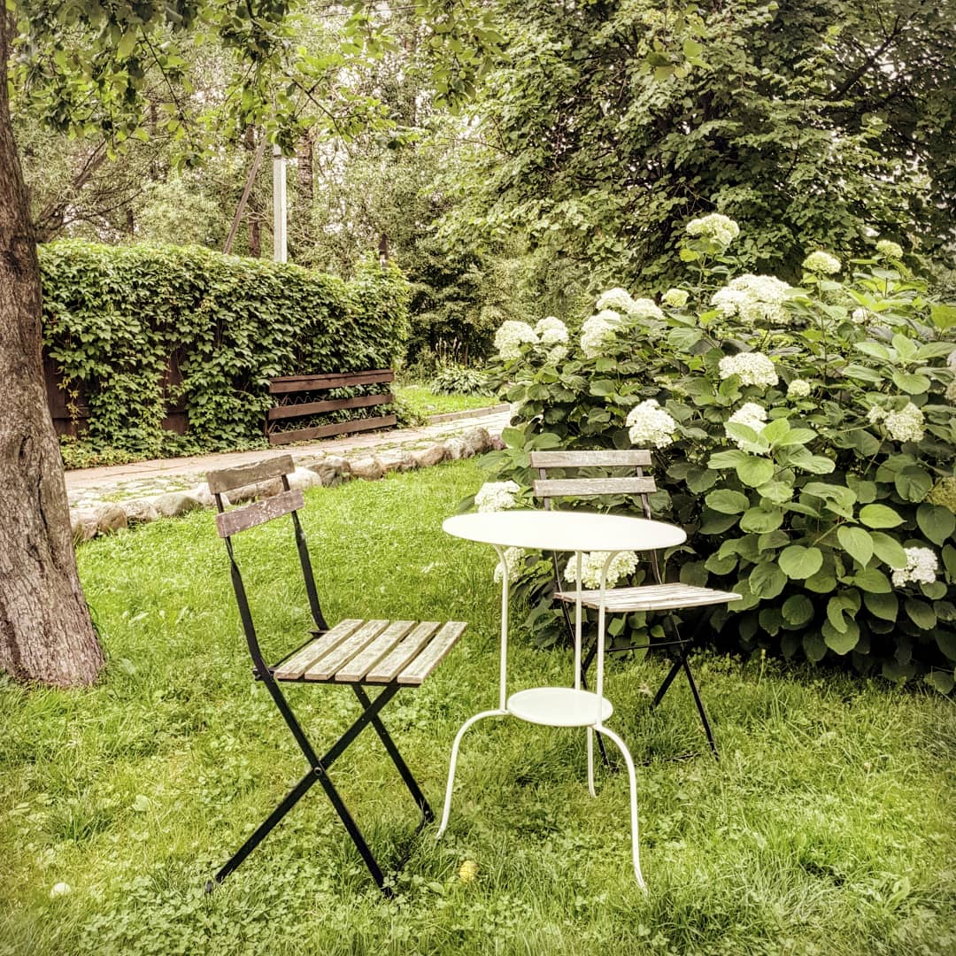 Фото Лавандовый сад