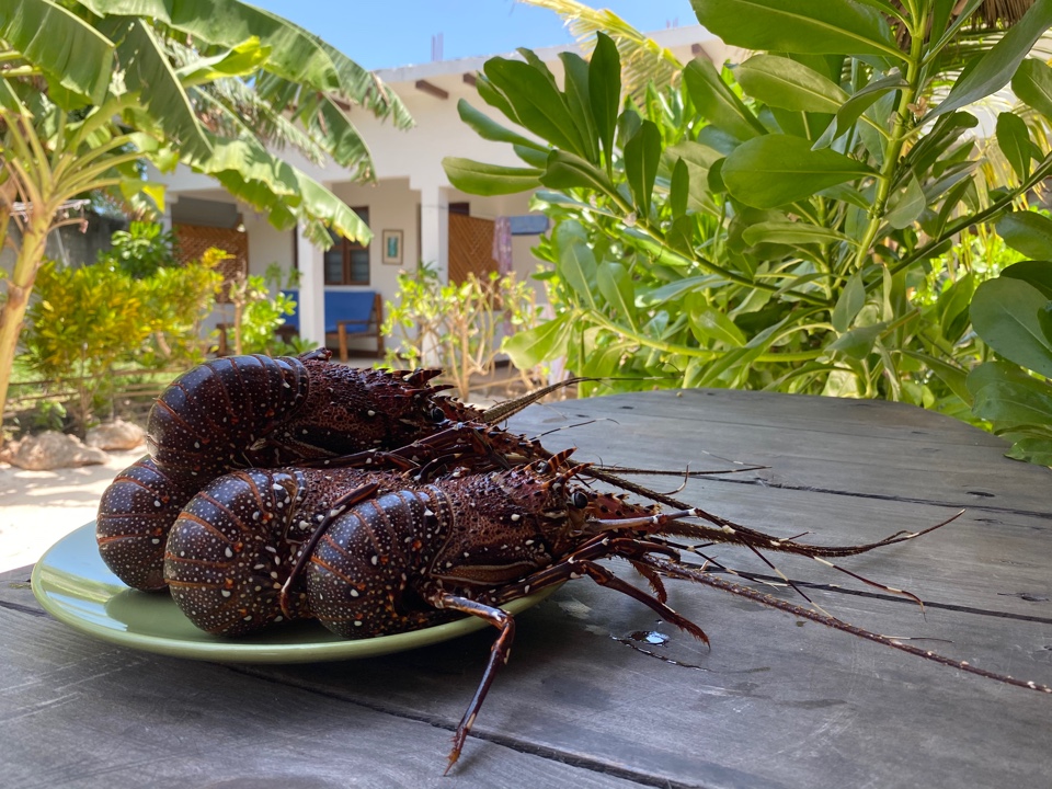 Фото Tembo Palace Hotel