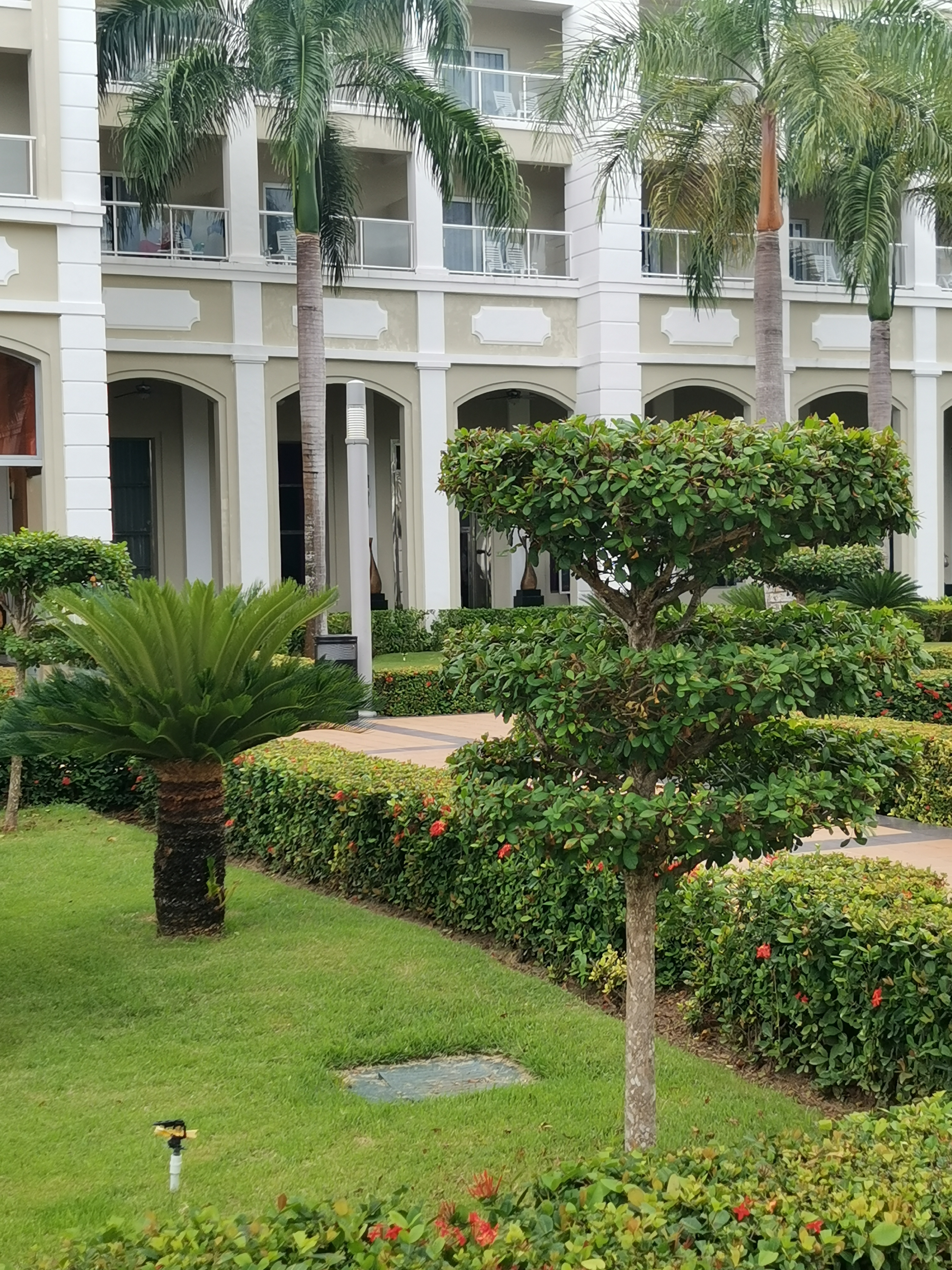 Фото Hotel Riu Palace Bavaro