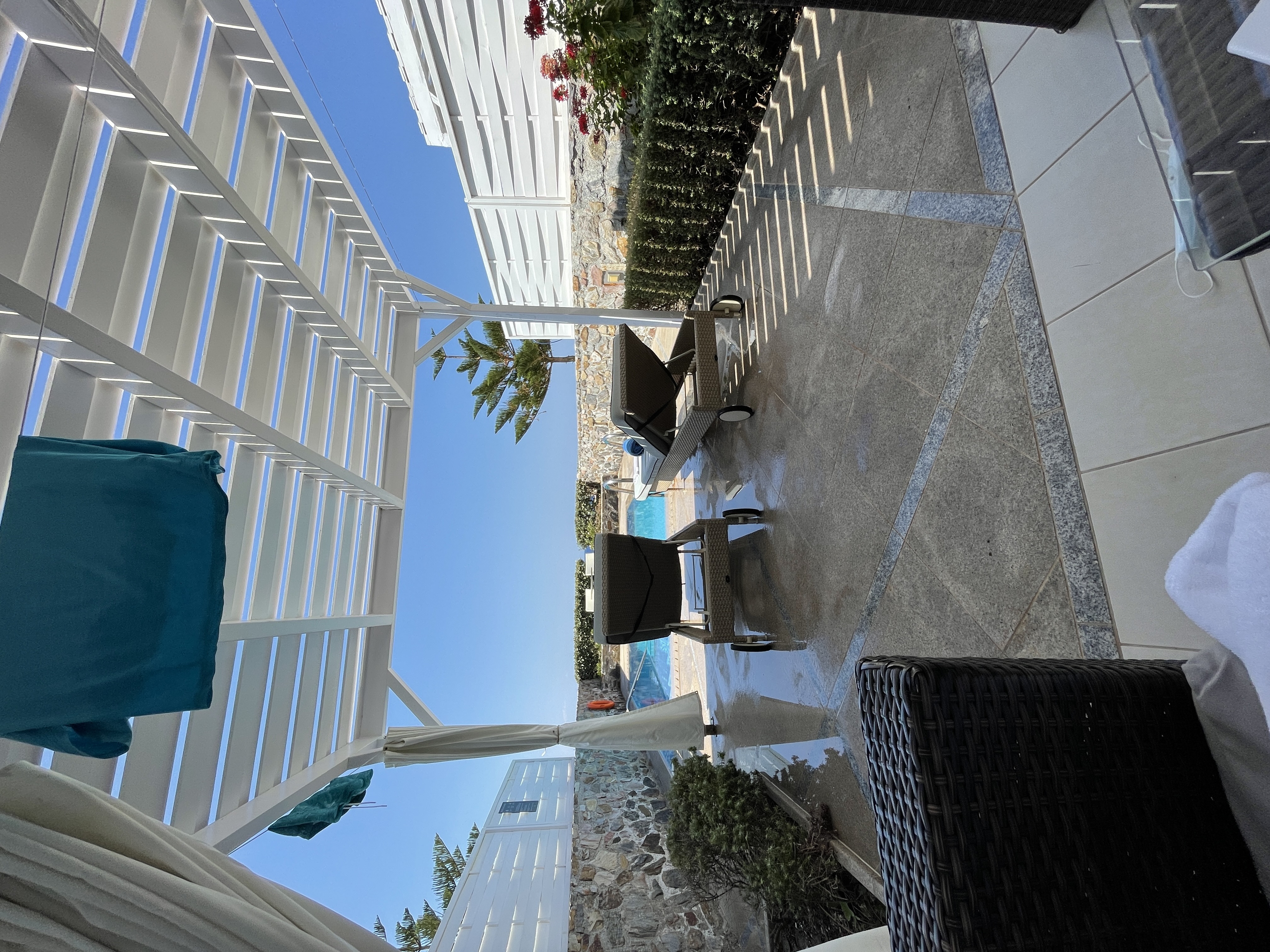 Фото The Royal Blue