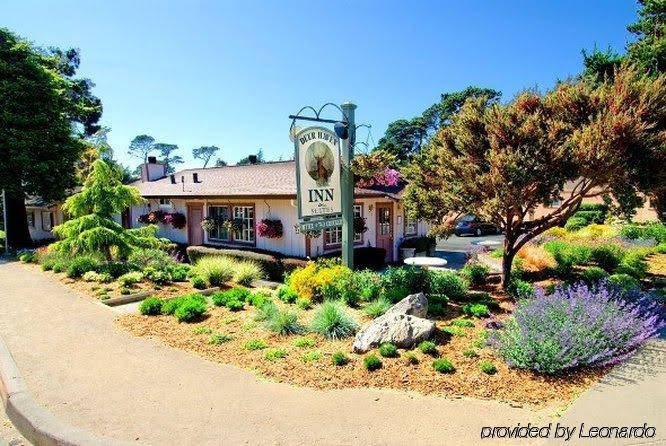 Фото Deer Haven Inn