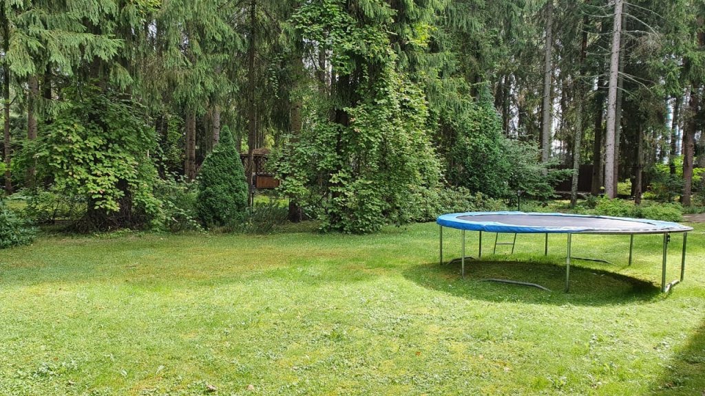 Фото Wish Seliger