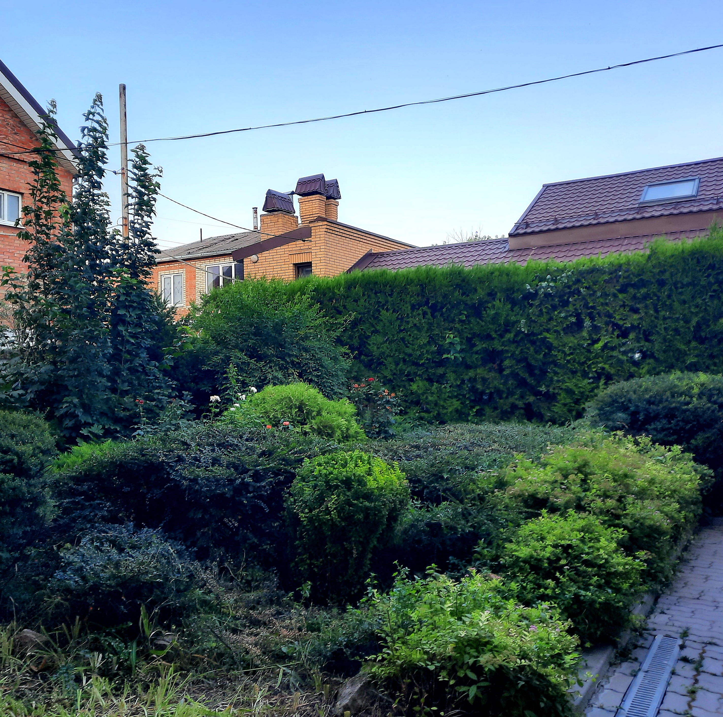 Фото Маликон